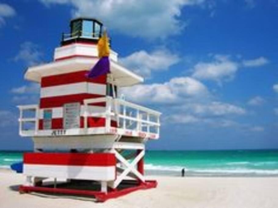 מיאמי ביץ' Apartment Right On The Beach! מראה חיצוני תמונה